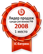 Лидер продаж среди регионов РФ за 2008 год