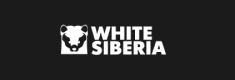 СRM Битрикс24 для интернет-магазина электротранспорта WHITE SIBERIA